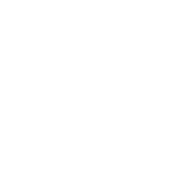 TikTok Marketing Partners